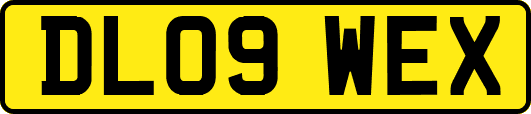 DL09WEX
