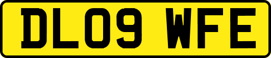 DL09WFE