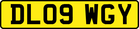 DL09WGY