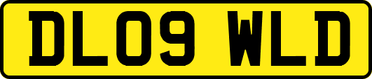 DL09WLD