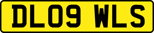 DL09WLS