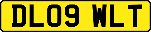 DL09WLT