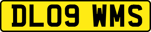 DL09WMS