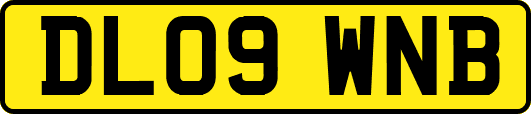 DL09WNB