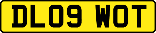 DL09WOT