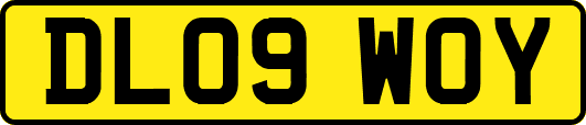 DL09WOY