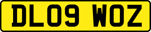 DL09WOZ