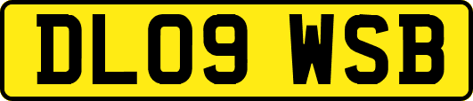 DL09WSB