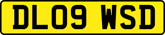 DL09WSD