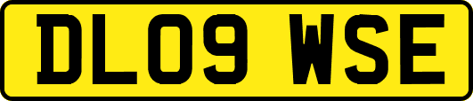 DL09WSE