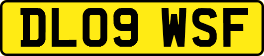 DL09WSF