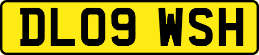 DL09WSH