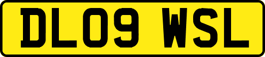 DL09WSL