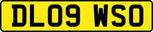 DL09WSO