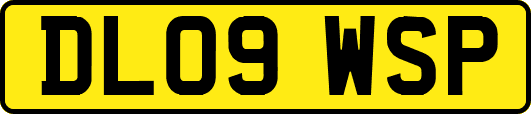 DL09WSP