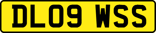 DL09WSS