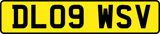 DL09WSV