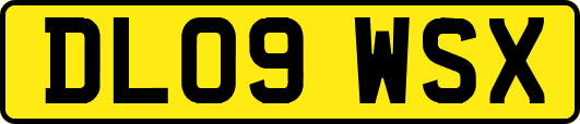 DL09WSX