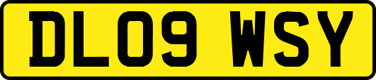 DL09WSY