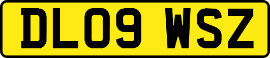 DL09WSZ