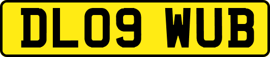 DL09WUB