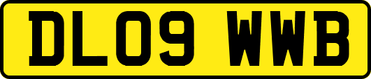 DL09WWB