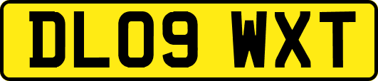 DL09WXT