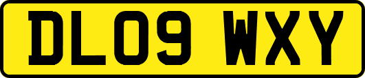DL09WXY