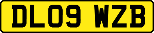 DL09WZB