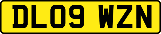 DL09WZN