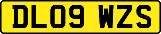 DL09WZS
