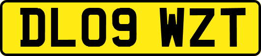DL09WZT