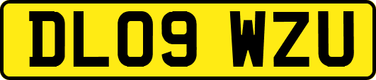 DL09WZU