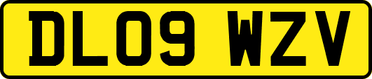 DL09WZV