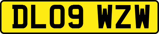 DL09WZW