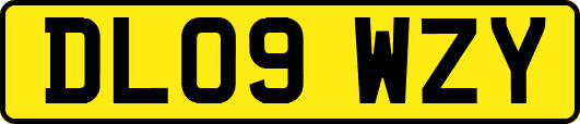 DL09WZY