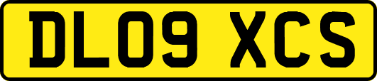 DL09XCS