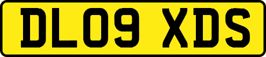 DL09XDS