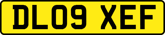 DL09XEF