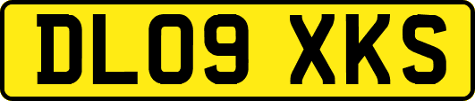 DL09XKS