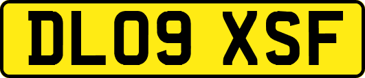 DL09XSF