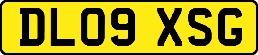 DL09XSG