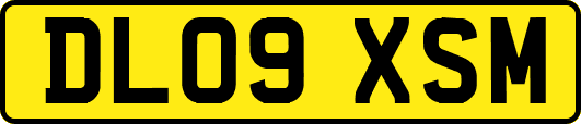 DL09XSM