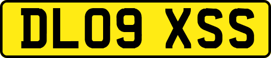 DL09XSS