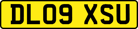 DL09XSU