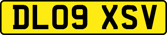 DL09XSV