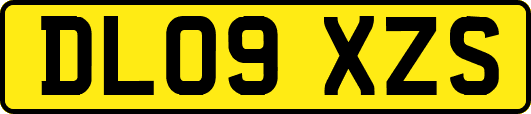 DL09XZS