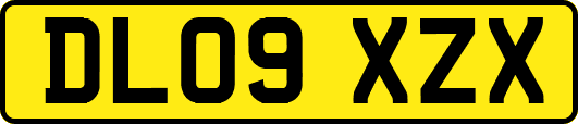 DL09XZX