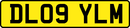 DL09YLM