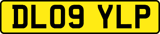 DL09YLP